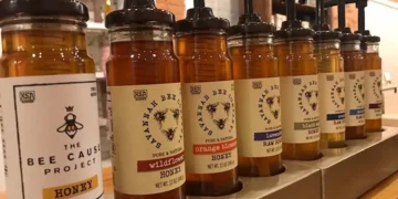 Weekend in Savannah: The Perfect 2 Day Itinerary