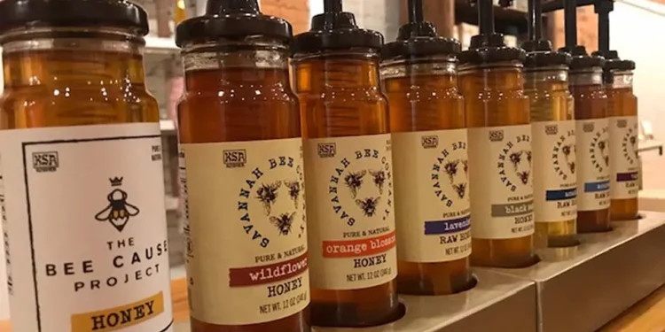 Weekend in Savannah: The Perfect 2 Day Itinerary