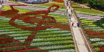 Discover the Enchanting Allure of Kashmir with 9 Mesmerizing Destinations.