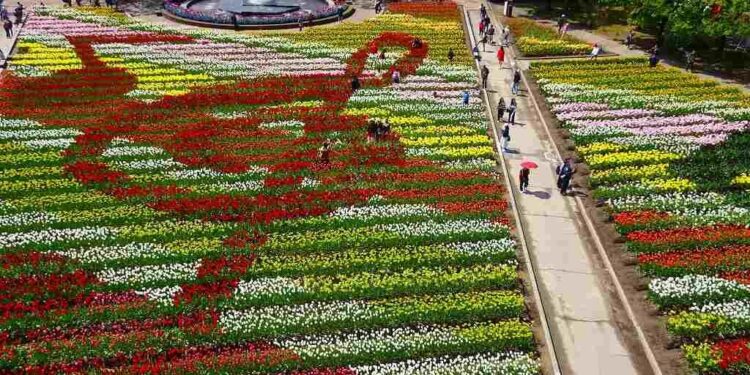 Discover the Enchanting Allure of Kashmir with 9 Mesmerizing Destinations.