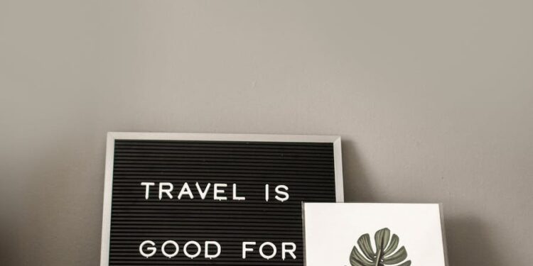 Navigating the Points Maze: How to Pick the Best Travel Credit Card for Your Adventures