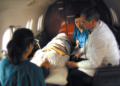 Medjet Review: Why Travelers Need Better Evacuation Coverage