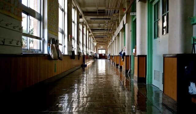 The WFACF Scholarship is Currently Accepting Applications