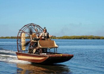 7 Best Swamp Tours in New Orleans in 2023