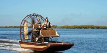 7 Best Swamp Tours in New Orleans in 2023