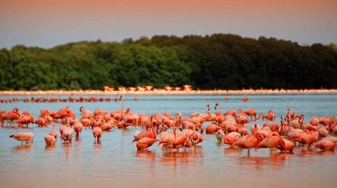 15 Best Things To Do in The Yucatan Peninsula