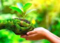 6 Reasons Small Businesses need to Adopt Sustainable Solutions