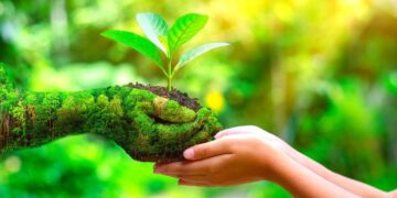 6 Reasons Small Businesses need to Adopt Sustainable Solutions