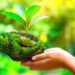 6 Reasons Small Businesses need to Adopt Sustainable Solutions