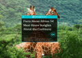 Interesting facts about Africa
