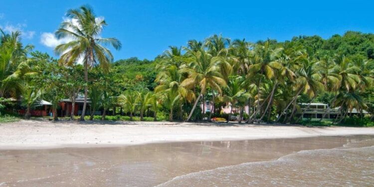 61 Best Things To Do in Grenada, Caribbean