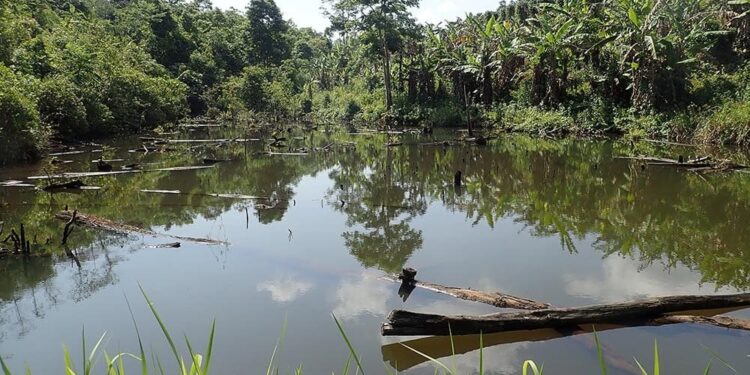 Biodiversity & business: why it matters