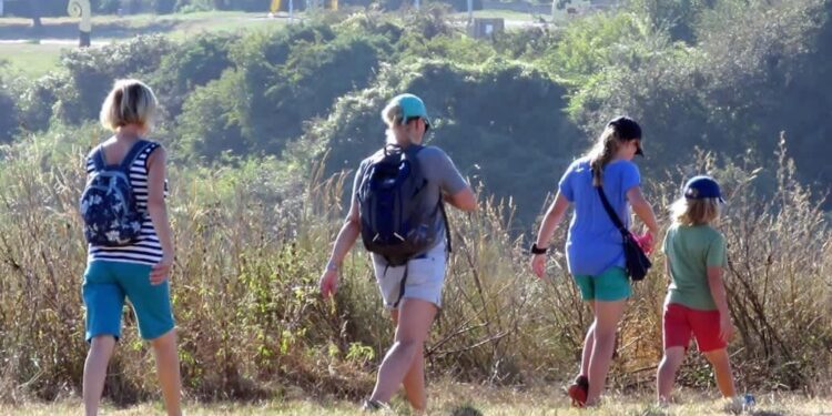 Discover 10 Unique Places to Visit in Kent, England