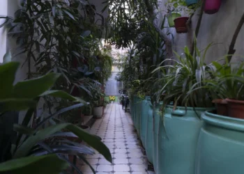 The 6 Best Hostels in Athens