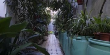 The 6 Best Hostels in Athens